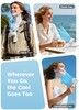 Aecooly Halo Icing Portable Handheld Fan