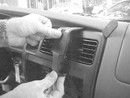 Brodit ProClip 852399