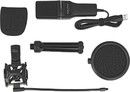 Delock USB Condenser Microphone