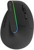 Delux M618DB Wireless Vertical Mouse