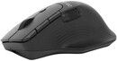 Delux M913DB Wireless Mouse