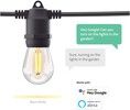 Hombli Smart Outdoor Light String