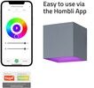 Hombli Smart Outdoor Wall Light V2