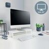 Leitz Ergo Cosy Monitor Stand 