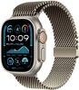 Lippa Stainless Steel with Lock (Apple Watch 49/46/45/44/42mm)