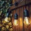 Lite Bulb Moments Smart Light Chain - Vintage Edison