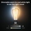 Philips Hue White Ambiance Filament ST72 E2