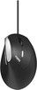 Rapoo Ev200 Ergonomic Optical Mouse