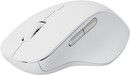 Rapoo M50 Plus Wireless Mouse