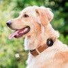 Spigen Pet Collar ComforTag (AirTag)