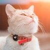 Spigen Pet Collar ComforTag (AirTag)