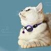 Trolsk Pet Collar with Silicone Case (Apple AirTag)