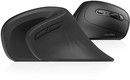 Wireless Vertical Mouse Dareu Lm109 Magic Hand Bluetooth + 2.4g (black)
