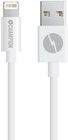 Champion Lightning Cable - 3 meter