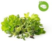 Click and Grow Smart Garden Refill 9-pak