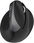 Delux M618Mini Vertical Mouse