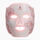 Fitpaddy FitMask LED Ansigtsmaske