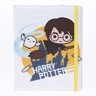 Harry Potter Universal Folio (10-11")