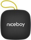 Niceboy Raze Mini 4 Bluetooth-hjttaler med FM-radio