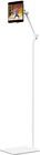 Twelve South HoverBar Tower (iPad) - r