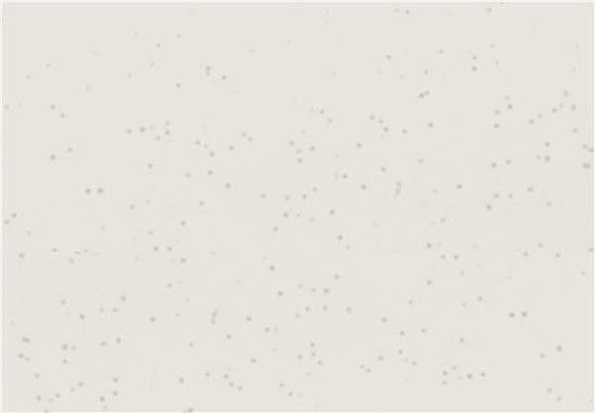Cricut Premium Vinyl Permanent 30,5 x 122 cm - Special