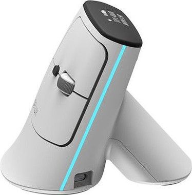 Delux MV6 Wireless Ergonomic Mouse