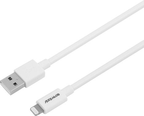 Essentials USB-A to Lightning Cable MFI