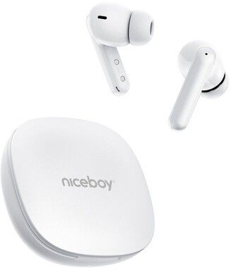 Niceboy Hive Pins Pro 4