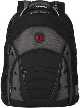 Wenger Synergy Backpack (16")