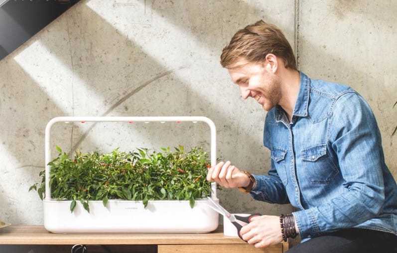 Click and Grow - indendørs dyrkning med hydroponics
